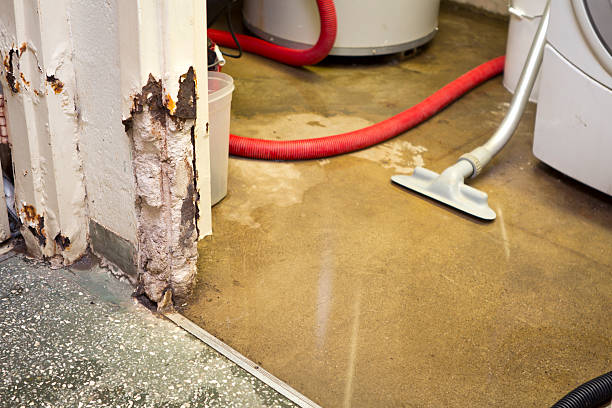 emergency basement leak repair company brick, nj