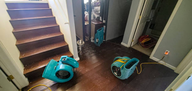 water damage cleanup Bloomfield, NJ